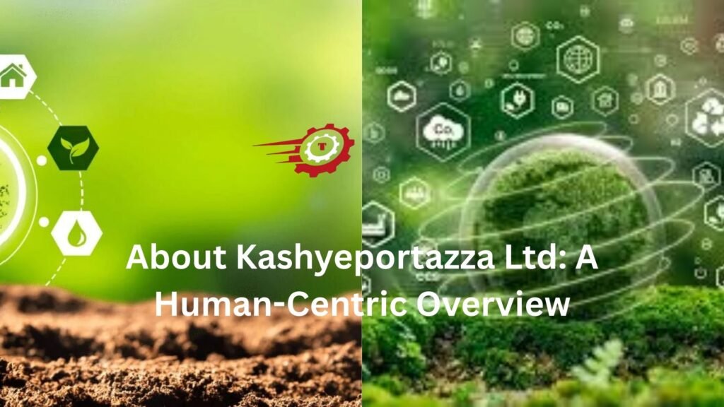 About Kashyeportazza Ltd: A Human-Centric Overview about kashyeportazza ltd