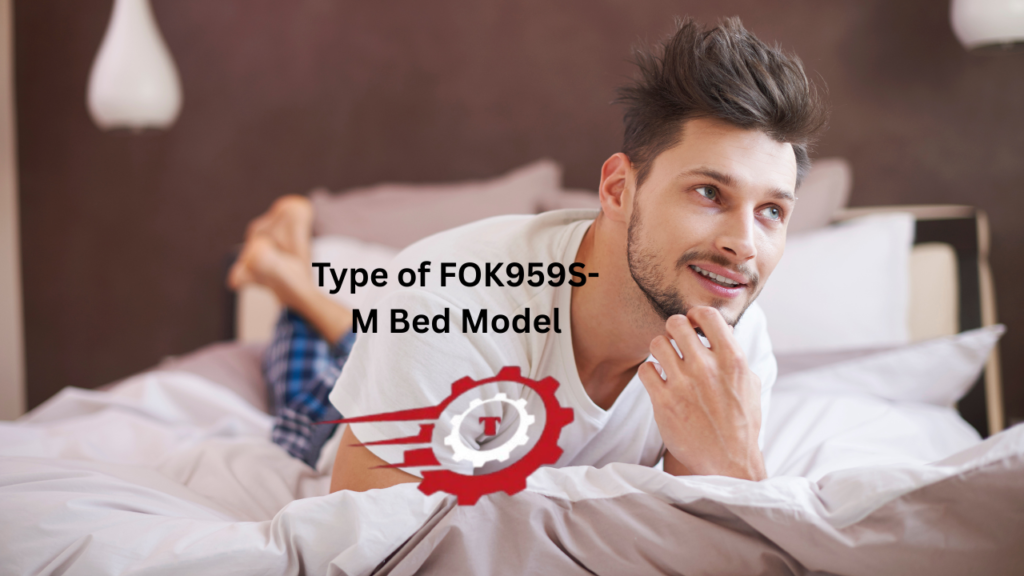 Type of FOK959S-M Bed Model FOK959S