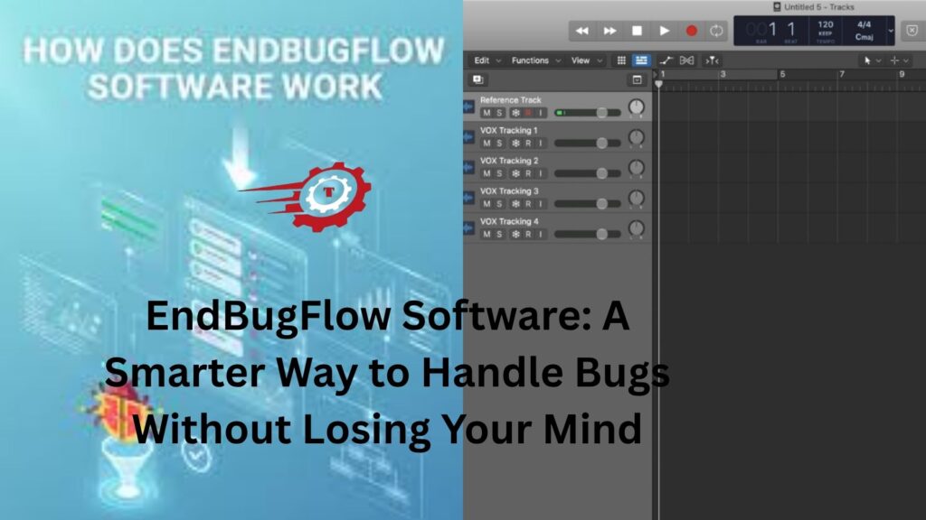endbugflow software