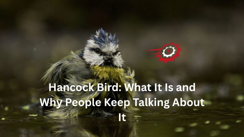 define hancock bird