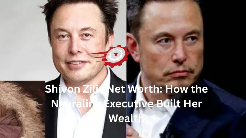 shivon zilis net worth