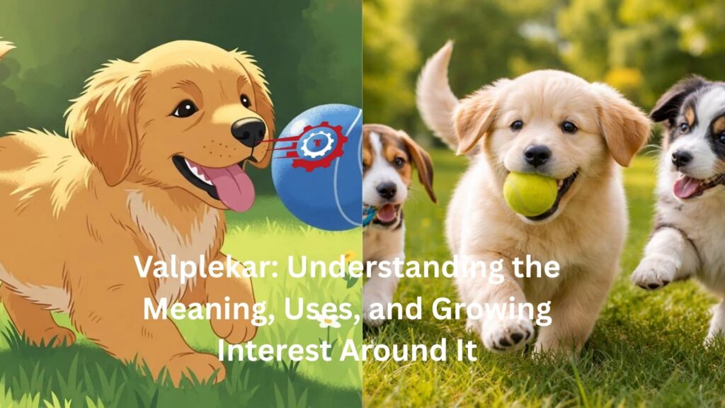 valplekar
